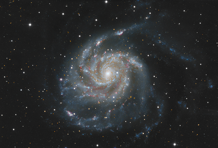 M101